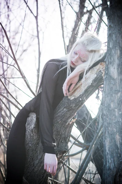 Printemps Fées Parmi Les Arbres — Photo