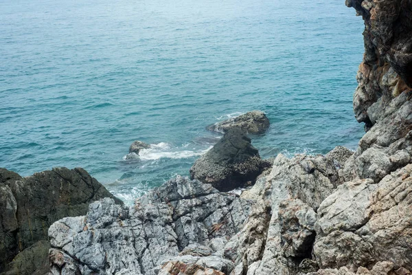 洛基海热带岛屿 — 图库照片