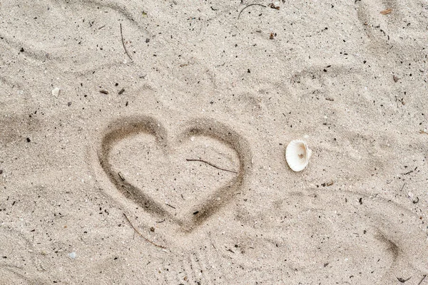 Praia Mar Com Conchas — Fotografia de Stock