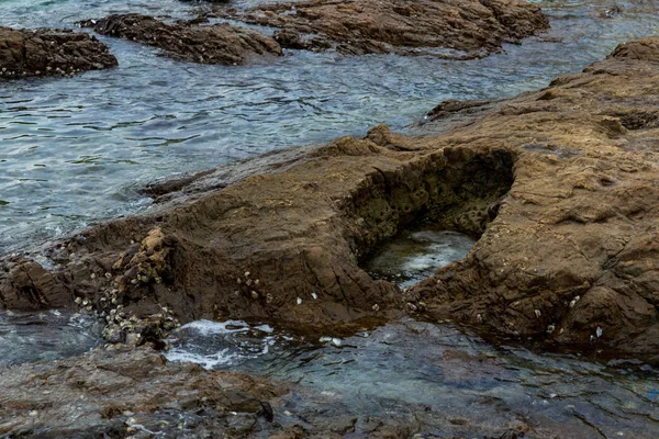 洛基海热带岛屿 — 图库照片