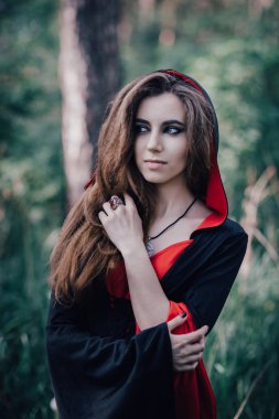 Ormanda peri masalı cadısı