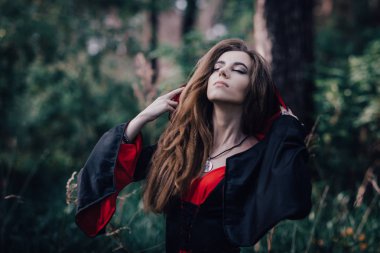 Ormanda peri masalı cadısı