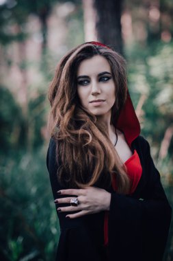 Ormanda peri masalı cadısı