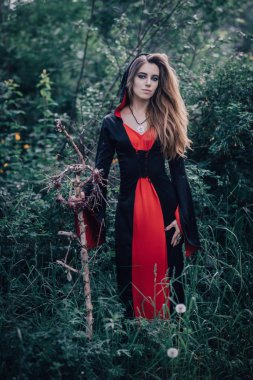 Ormanda peri masalı cadısı