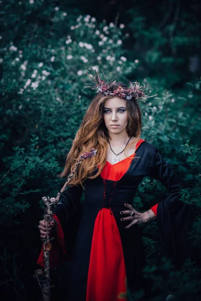 森の中のおとぎ話の魔女 — ストック写真
