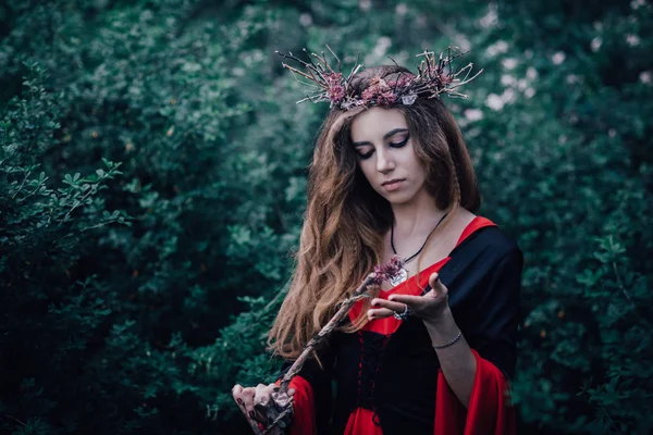 Sorcière Conte Fées Dans Forêt — Photo