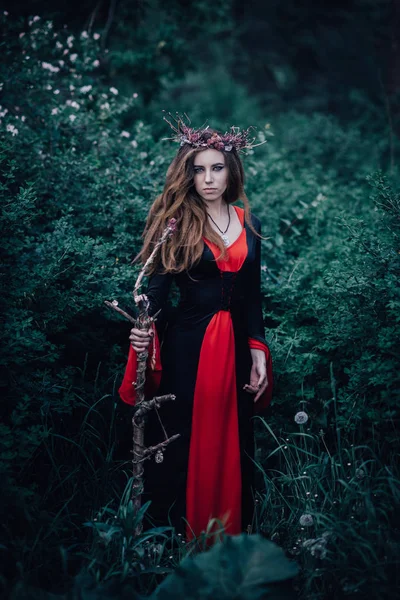 森林里的童话巫婆 — 图库照片