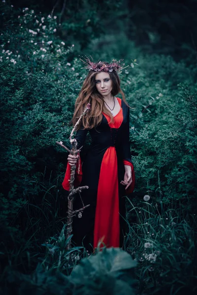 Ormanda Peri Masalı Cadısı — Stok fotoğraf