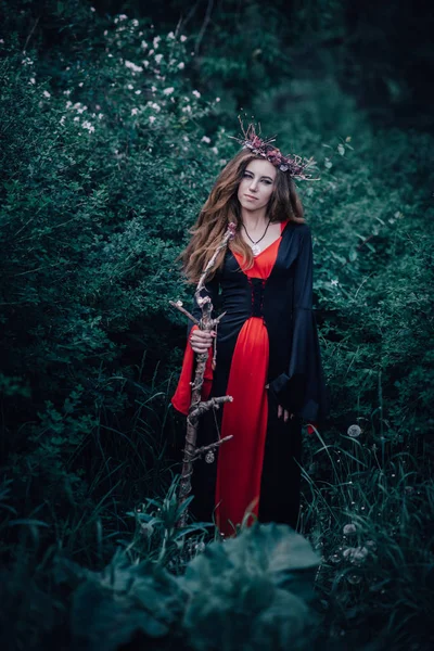 Sorcière Conte Fées Dans Forêt — Photo