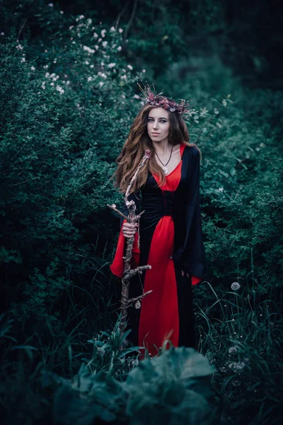 Ormanda Peri Masalı Cadısı — Stok fotoğraf