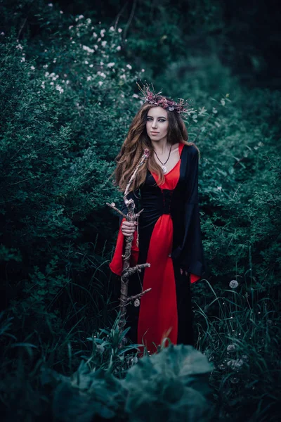 Sorcière Conte Fées Dans Forêt — Photo