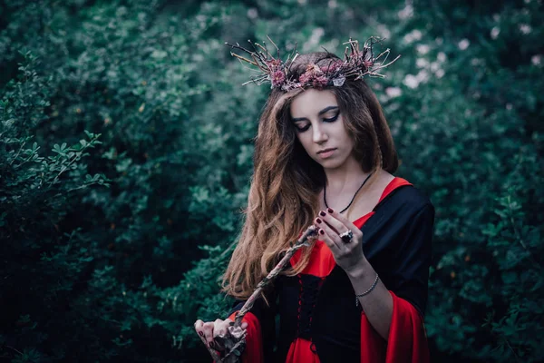 Sorcière Conte Fées Dans Forêt — Photo