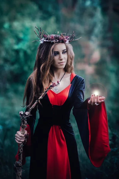 Fairy Tale Witch Forest — Stock Photo, Image