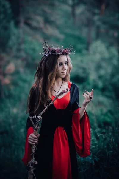 Sorcière Conte Fées Dans Forêt — Photo