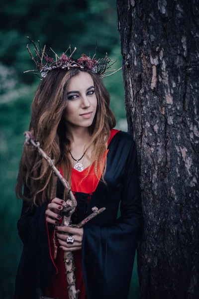 Sorcière Conte Fées Dans Forêt — Photo