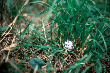 rol yapma ve masa oyunları için zar oynamak