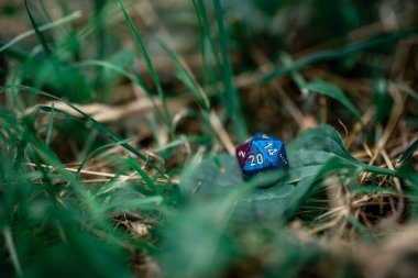 rol yapma ve masa oyunları için zar oynamak