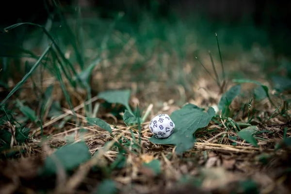 playing dice for role-playing and board games