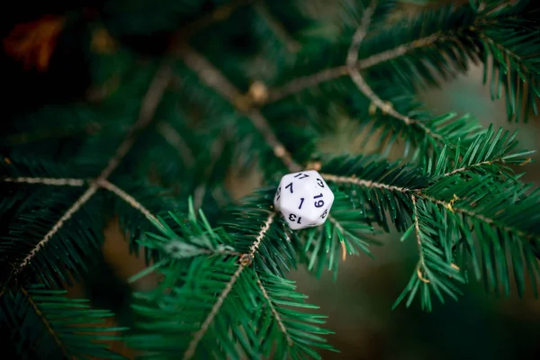 playing dice for role-playing and board games