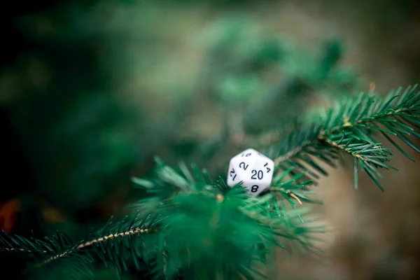 Jeux Dés Pour Jeux Rôle Jeux Société — Photo