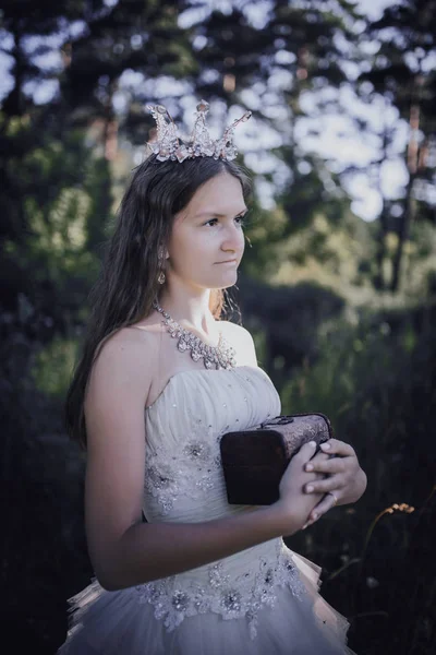 stock image princess in a pine forest