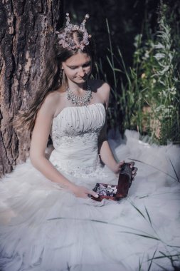 bir çam ormanında prenses