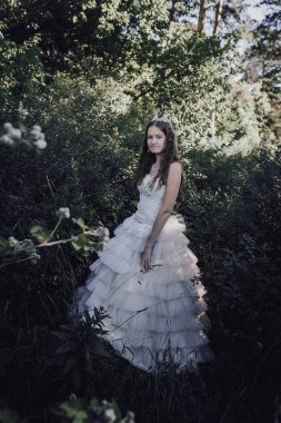 bir çam ormanında prenses