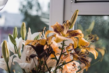 Vazodaki yaz çiçekleri