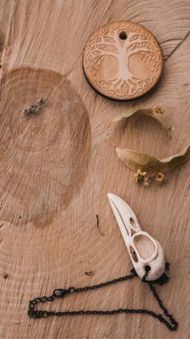 Cadı şifalı bitkiler.