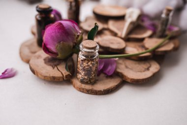 Cadı şifalı bitkiler.