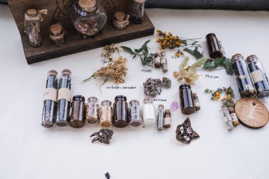 Cadı şifalı bitkiler.