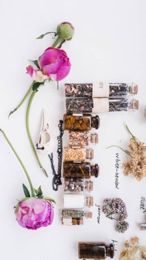 Cadı şifalı bitkiler.