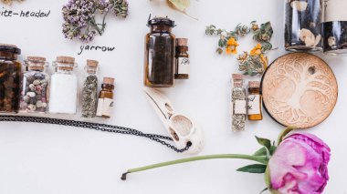 Cadı şifalı bitkiler.