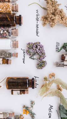 Cadı şifalı bitkiler.