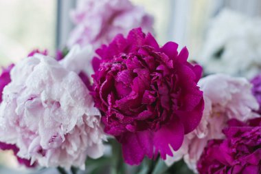 Vazodaki yaz çiçekleri