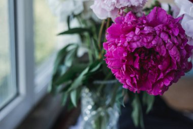 Vazodaki yaz çiçekleri