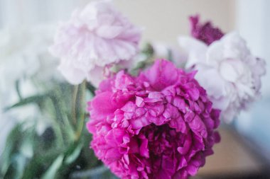 Vazodaki yaz çiçekleri