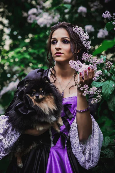 Lady Black Purple Baroque Dress — Stock Photo, Image