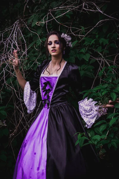 Lady Black Purple Baroque Dress — Stock Photo, Image