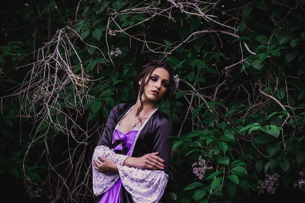Леди Черно Фиолетовом Платье Стиле Барокко — стоковое фото