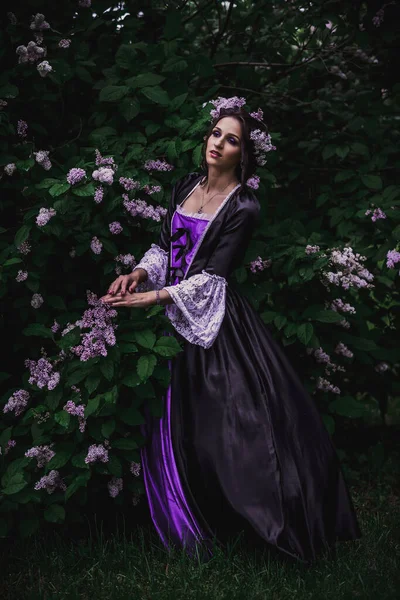 Dame Robe Baroque Noire Violette — Photo