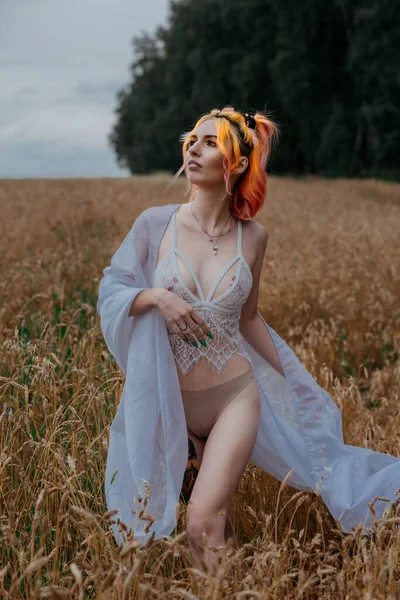 Ragazza Con Capelli Colorati Biancheria Intima Campo Grano — Foto Stock