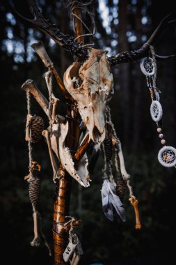 Ormanda vücudunda işaretler olan bir büyücü.