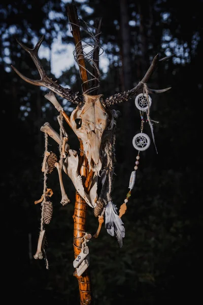 Hechicero Con Marcas Cuerpo Bosque —  Fotos de Stock