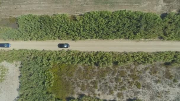 Drone seguindo carros dirigindo na estrada rural com árvores ao lado em Lemnos, Grécia — Vídeo de Stock