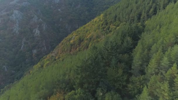 A légifelvétel a Mountain pass aszfalt út gyönyörű erdei Landscpae — Stock videók