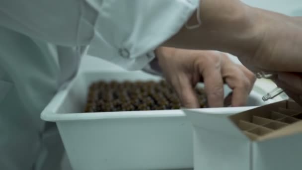 Side view of Scientist opening dropper bottles, moving their caps and arranging them in container — Stock Video