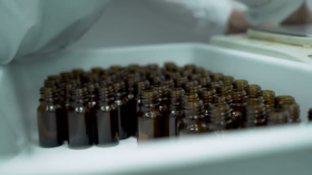 Тщательный взгляд медицинского работника организации небольших бутылок в контейнере и подготовки их к заполнению — стоковое видео