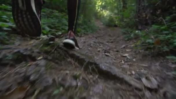 Låg vinkel syn på Fitness Girl jogging i skogen tidigt på morgonen — Stockvideo