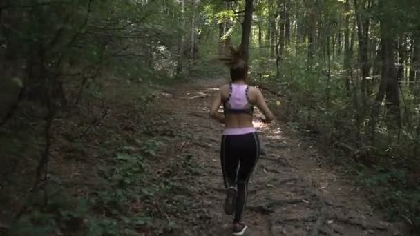Chica morena fitness con cola de caballo y equipo deportivo trotando en el bosque de verano — Vídeo de stock